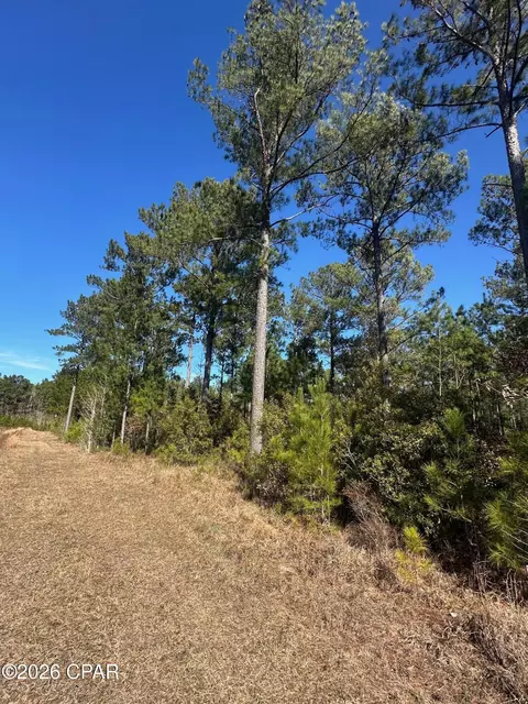 000 River Rd, Sneads, FL 32460 photo 7