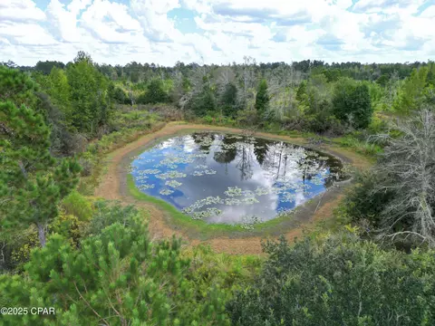 000 River Rd, Sneads, FL 32460 photo 10