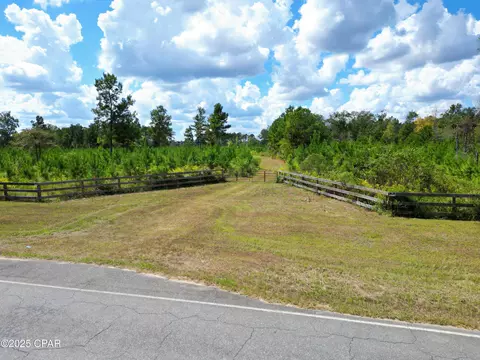 000 River Rd, Sneads, FL 32460 photo 3