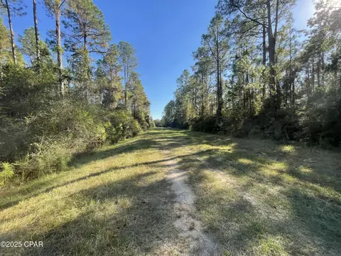 0010 Hawthorne Trl, Bonifay, FL 32425