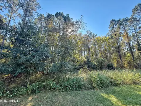 00 Lure Ln, Sneads, FL 32460 photo 4