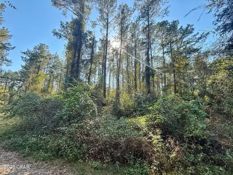 00 Lure Ln, Sneads, FL 32460 photo 3