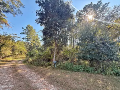 00 Lure Ln, Sneads, FL 32460