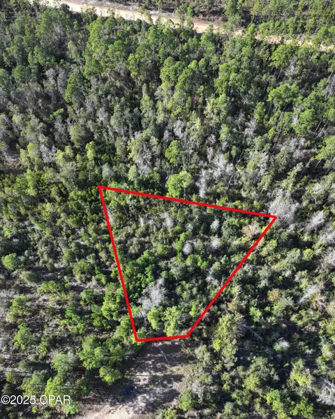 0 Pisgah Ct, Alford, FL 32420