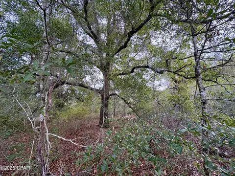 lot14 Sadorus Ave, Alford, FL 32420