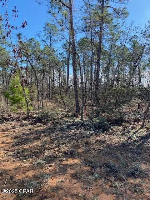 00 Orange Peel, Marianna, FL 32448