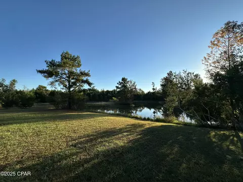 View/Area - 19652 County Road 275, Altha, FL 32421 photo 2 of 3