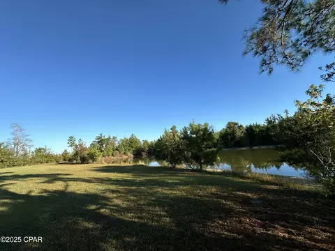 View/Area - 19652 County Road 275, Altha, FL 32421 photo 1 of 3