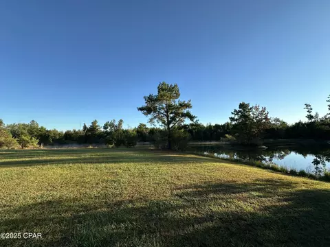 View/Area - 19652 County Road 275, Altha, FL 32421 photo 3 of 3