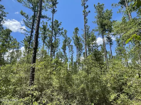 0000 Main St, Ponce De Leon, FL 32455