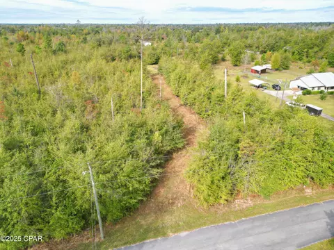 tbd NE Luke Holland Rd, Altha, FL 32421 photo 8