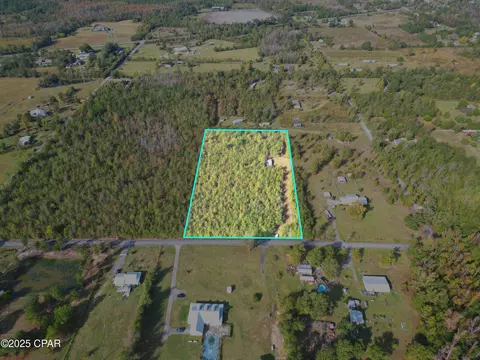 tbd NE Luke Holland Rd, Altha, FL 32421