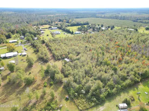 tbd NE Luke Holland Rd, Altha, FL 32421 photo 6