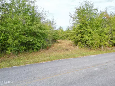 tbd NE Luke Holland Rd, Altha, FL 32421 photo 7