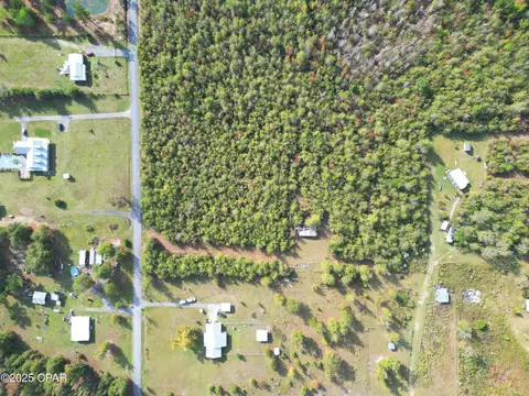 tbd NE Luke Holland Rd, Altha, FL 32421 photo 5
