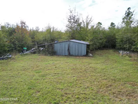 tbd NE Luke Holland Rd, Altha, FL 32421 photo 10