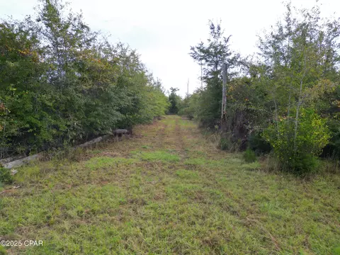 tbd NE Luke Holland Rd, Altha, FL 32421 photo 12