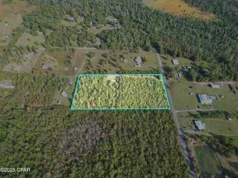 tbd NE Luke Holland Rd, Altha, FL 32421 photo 2