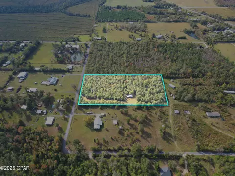 tbd NE Luke Holland Rd, Altha, FL 32421 photo 3