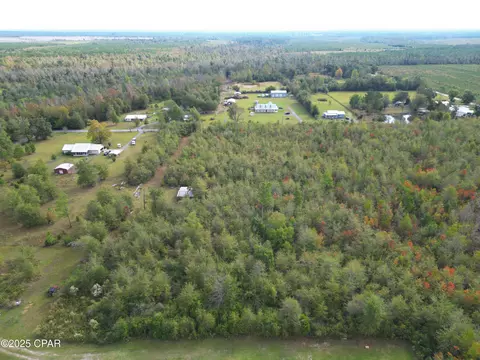 tbd NE Luke Holland Rd, Altha, FL 32421 photo 11