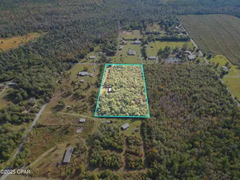 tbd NE Luke Holland Rd, Altha, FL 32421 photo 4