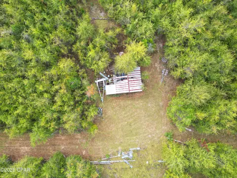 tbd NE Luke Holland Rd, Altha, FL 32421 photo 9