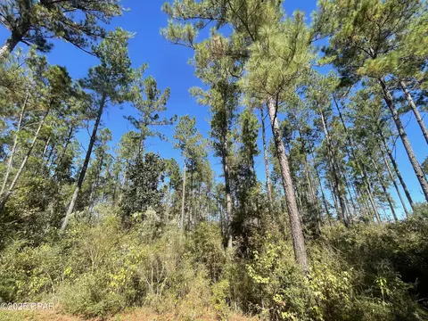 0000 Gainer Rd, Chipley, FL 32428 photo 14