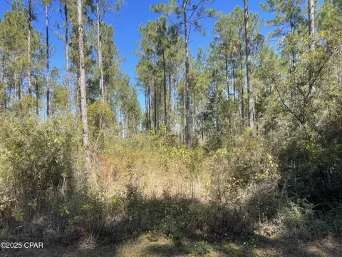 0000 Gainer Rd, Chipley, FL 32428 photo 15