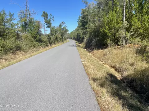 0000 Gainer Rd, Chipley, FL 32428 photo 23