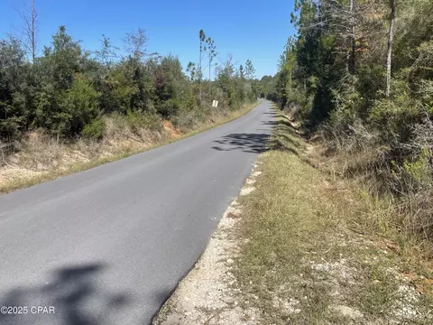 0000 Gainer Rd, Chipley, FL 32428 photo 21