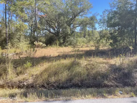 0000 Gainer Rd, Chipley, FL 32428 photo 16