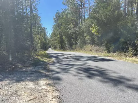 0000 Gainer Rd, Chipley, FL 32428 photo 22