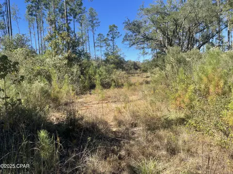 0000 Gainer Rd, Chipley, FL 32428 photo 19