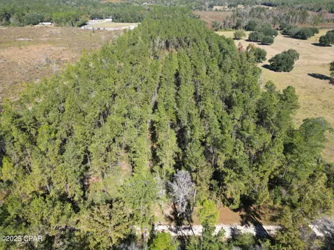 0000 Gainer Rd, Chipley, FL 32428 photo 9