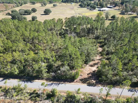 0000 Gainer Rd, Chipley, FL 32428 photo 11