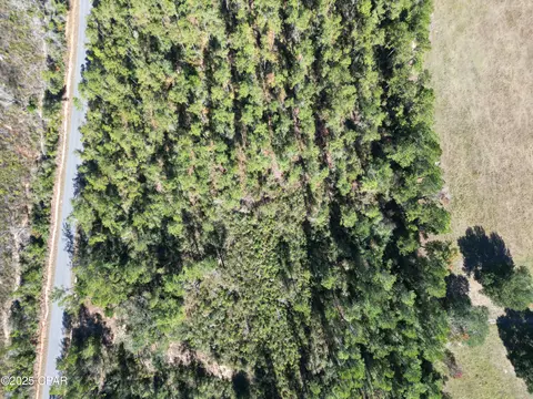 0000 Gainer Rd, Chipley, FL 32428 photo 2