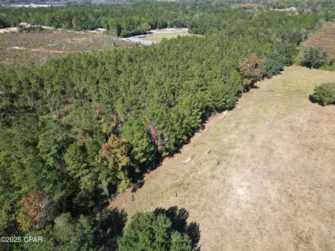 0000 Gainer Rd, Chipley, FL 32428 photo 10