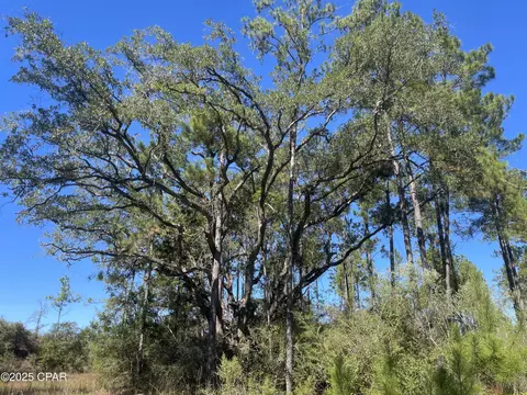 0000 Gainer Rd, Chipley, FL 32428 photo 17