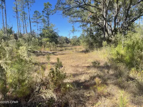 0000 Gainer Rd, Chipley, FL 32428 photo 18