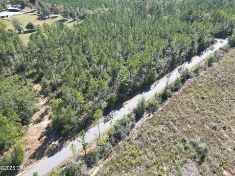 0000 Gainer Rd, Chipley, FL 32428 photo 7