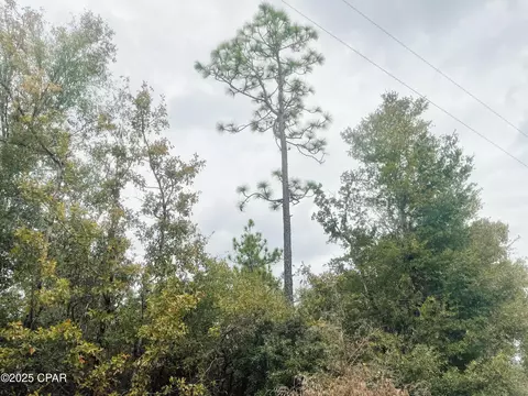 0000 Highview Cir, Chipley, FL 32428 photo 9