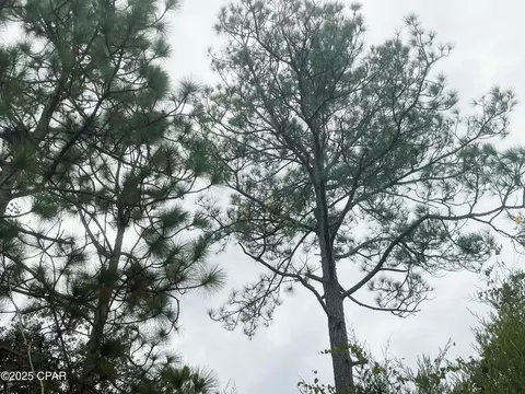 0000 Highview Cir, Chipley, FL 32428 photo 11