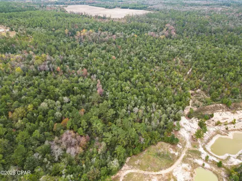 0000 Highview Cir, Chipley, FL 32428 photo 6