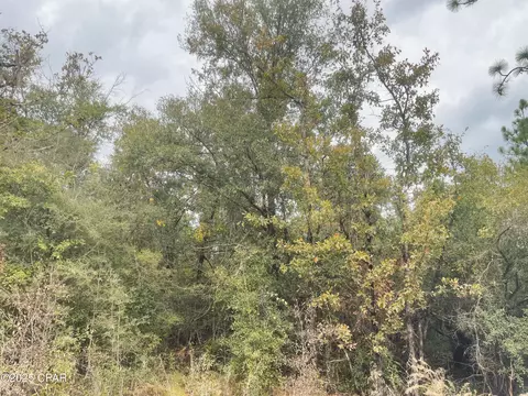 0000 Highview Cir, Chipley, FL 32428 photo 8