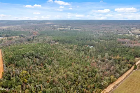 000 Perry Rd, Cottondale, FL 32431 photo 10