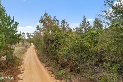 000 Perry Rd, Cottondale, FL 32431 photo 2