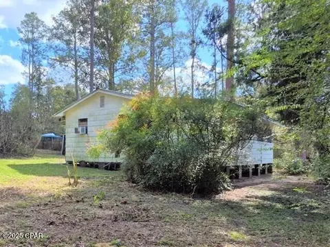 741 Chance Rd, Chipley, FL 32428 photo 5