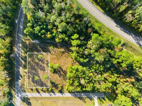 107 Pear St, Wewahitchka, FL 32465