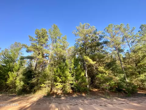 lot9 Adams Dr, Alford, FL 32420