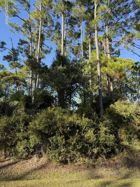 123 Cottage Ln, Port St Joe, FL 32456